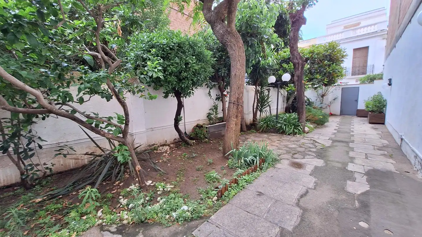 Jardín de Casa o chalet en venta en Premià de Mar con Jardín privado