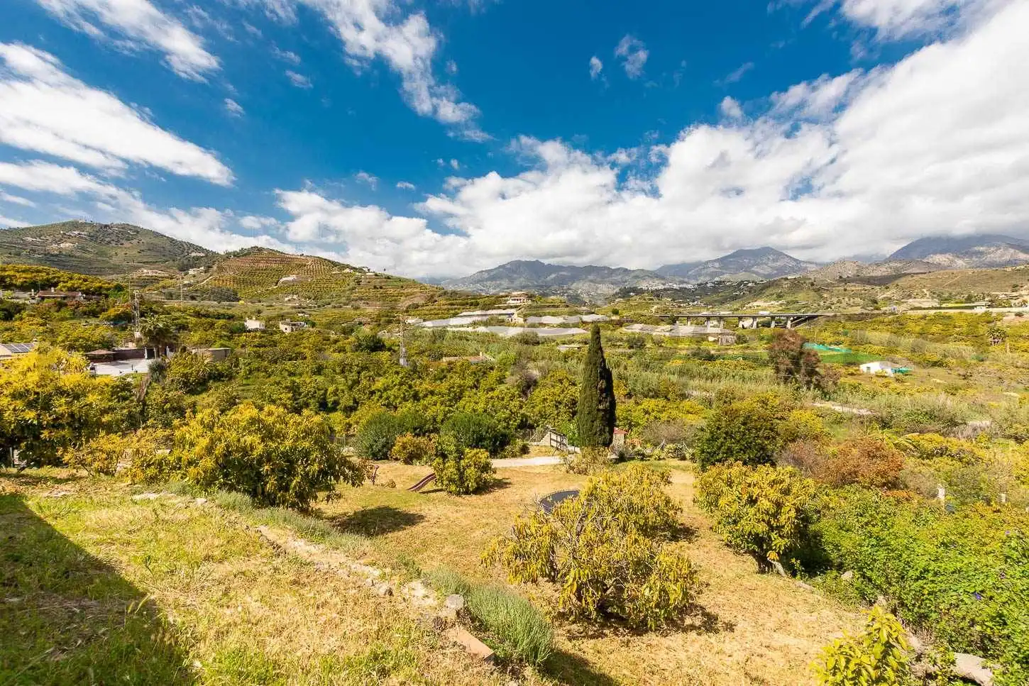 Casa amb piscina en venda a Avda Pescia - Ctra de Frigiliana, imagen 35