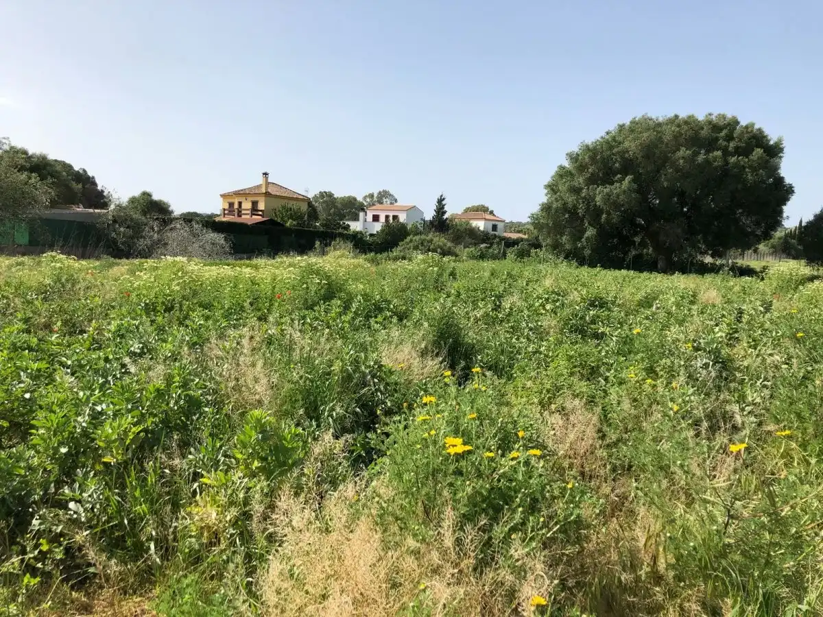 Terreni e lotti in vendita a Barbate ciudad, imagen 21