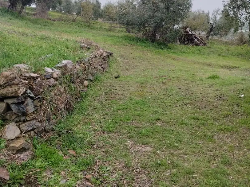 Grundstücke zum Verkauf in Puebla del Maestre