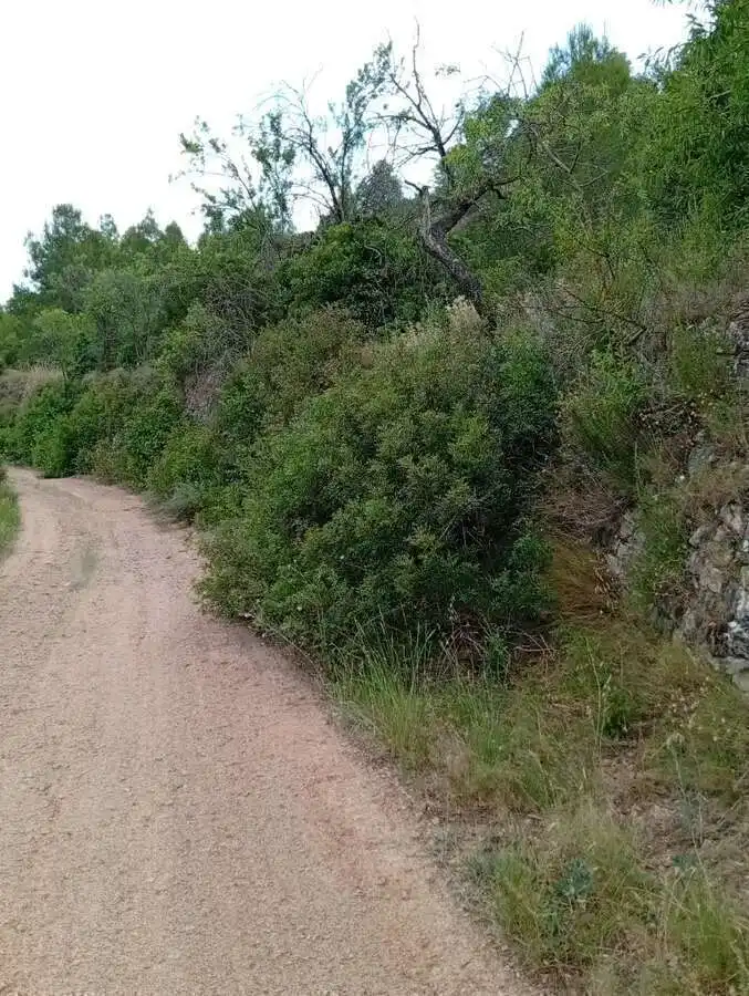 Country homes for sale in Corbera d'Ebre, Tarragona