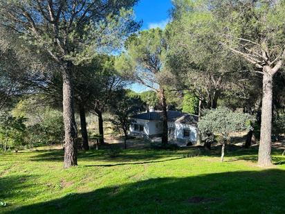 Jardí de Finca rústica en venda en Andújar amb Terrassa