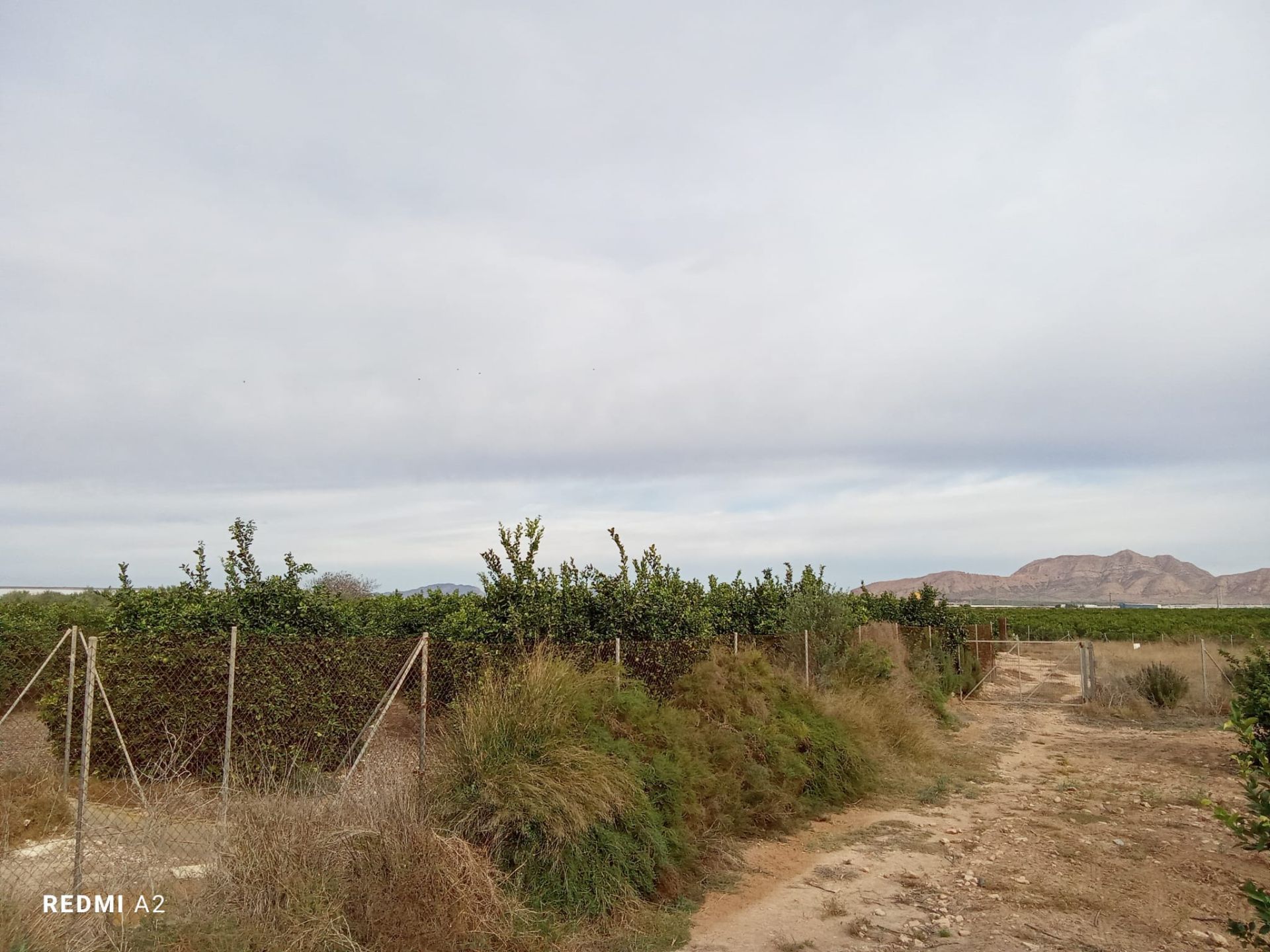 Country house zum verkauf in Torre-Pacheco