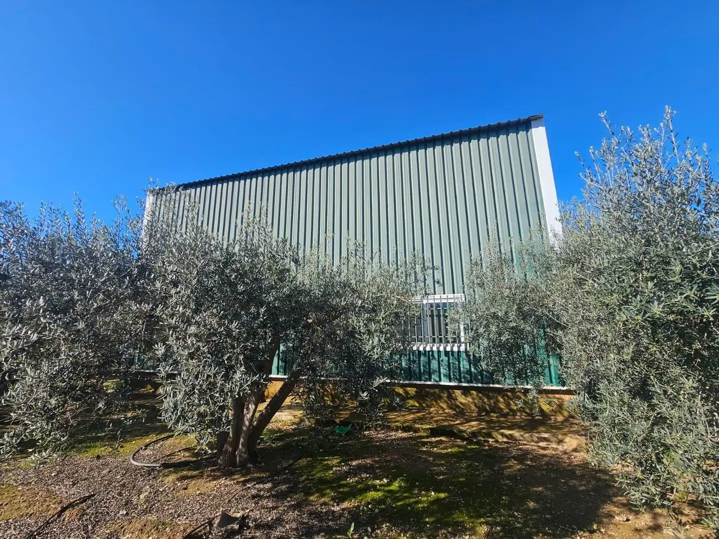 Exterior view of Commercial properties for sale in Fuente Álamo de Murcia