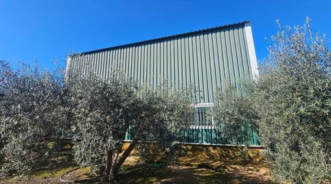 Photo 2 of Premises for sale in Balsapintada - El Estrecho, Murcia