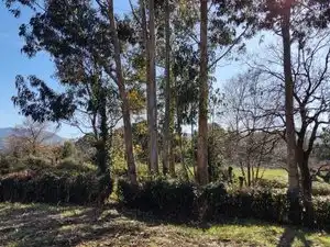 Residential for sale in Gijón 