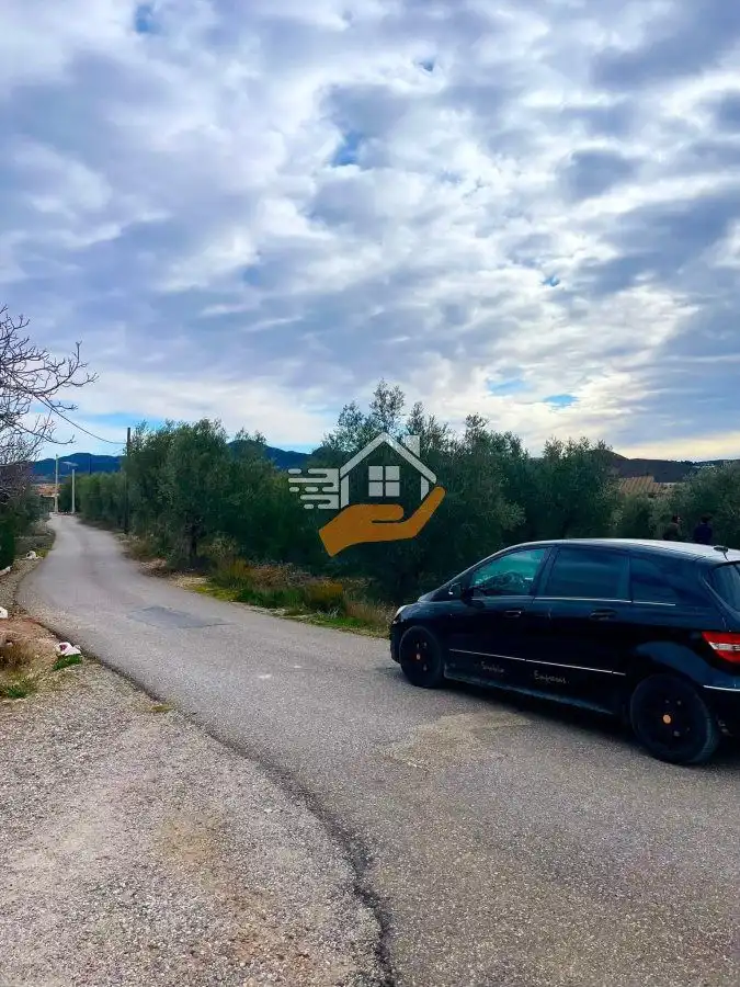 Residential land for sale in Vélez-Rubio, imagen 16