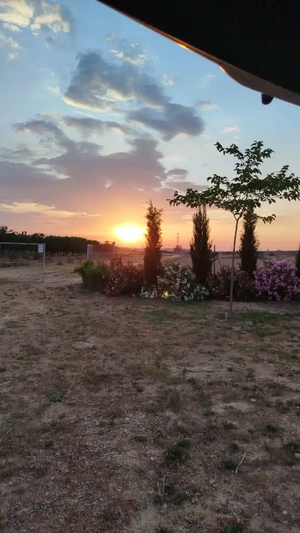 Land for sale in Tudela