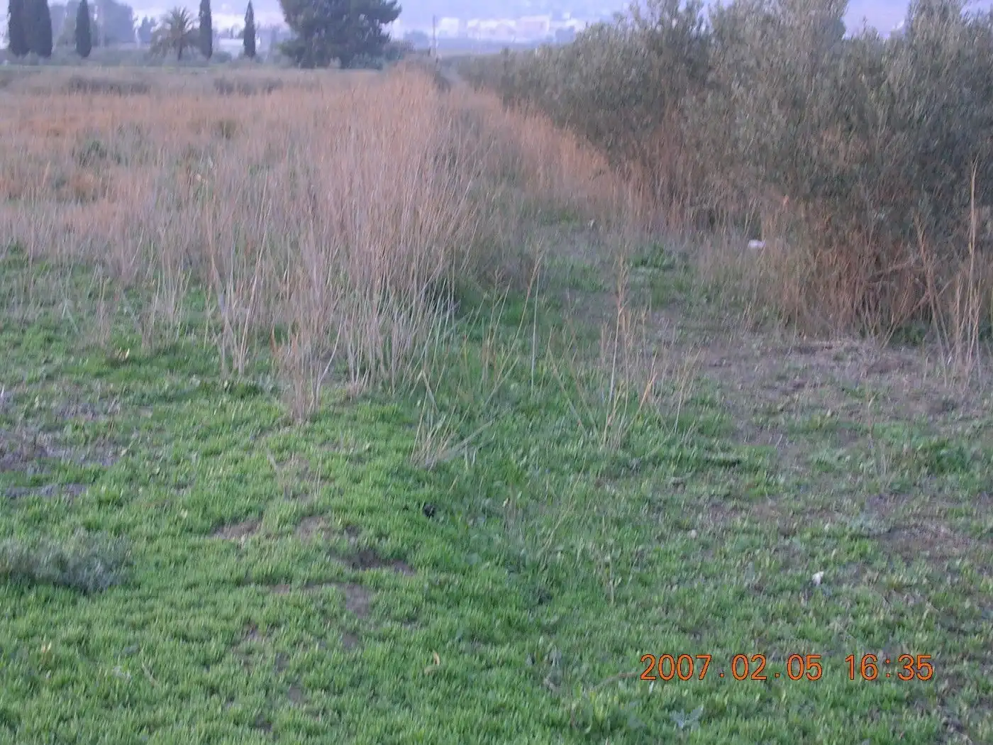 Industrial land for sale in Alhama de Murcia
