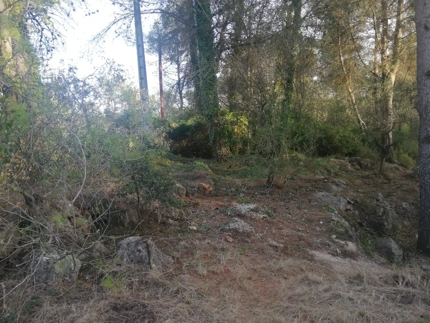 Rural land for sale in Vilallonga / Villalonga, imagen 7