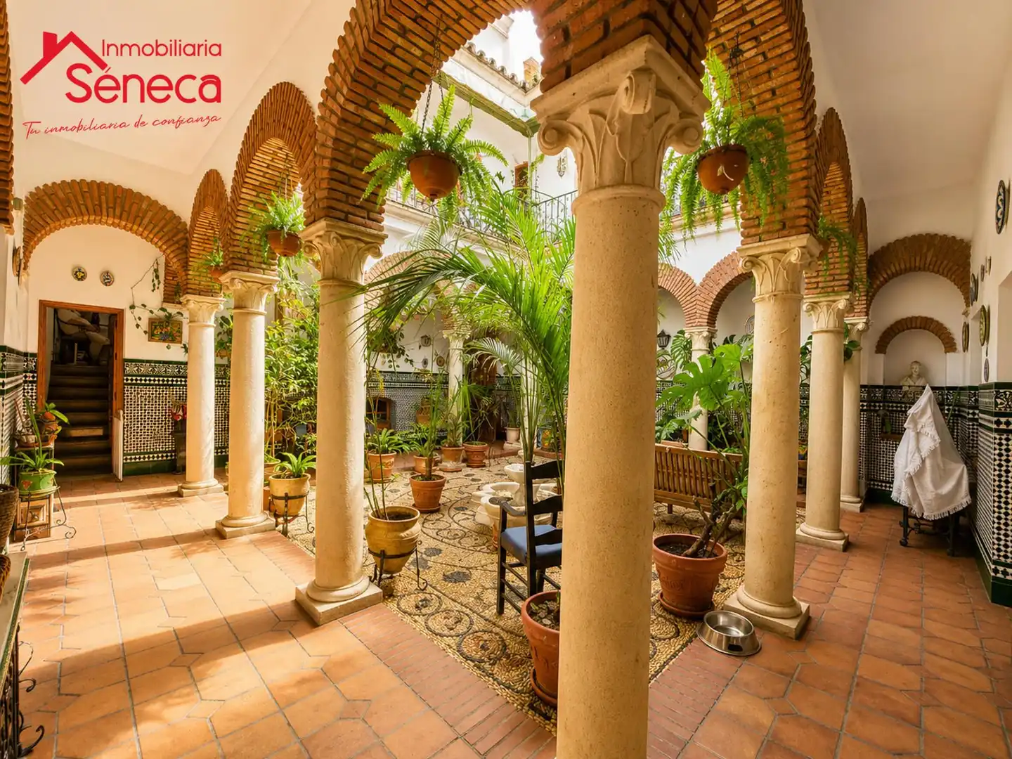 Terrassa de Casa o xalet en venda en Córdoba amb Traster i Piscina