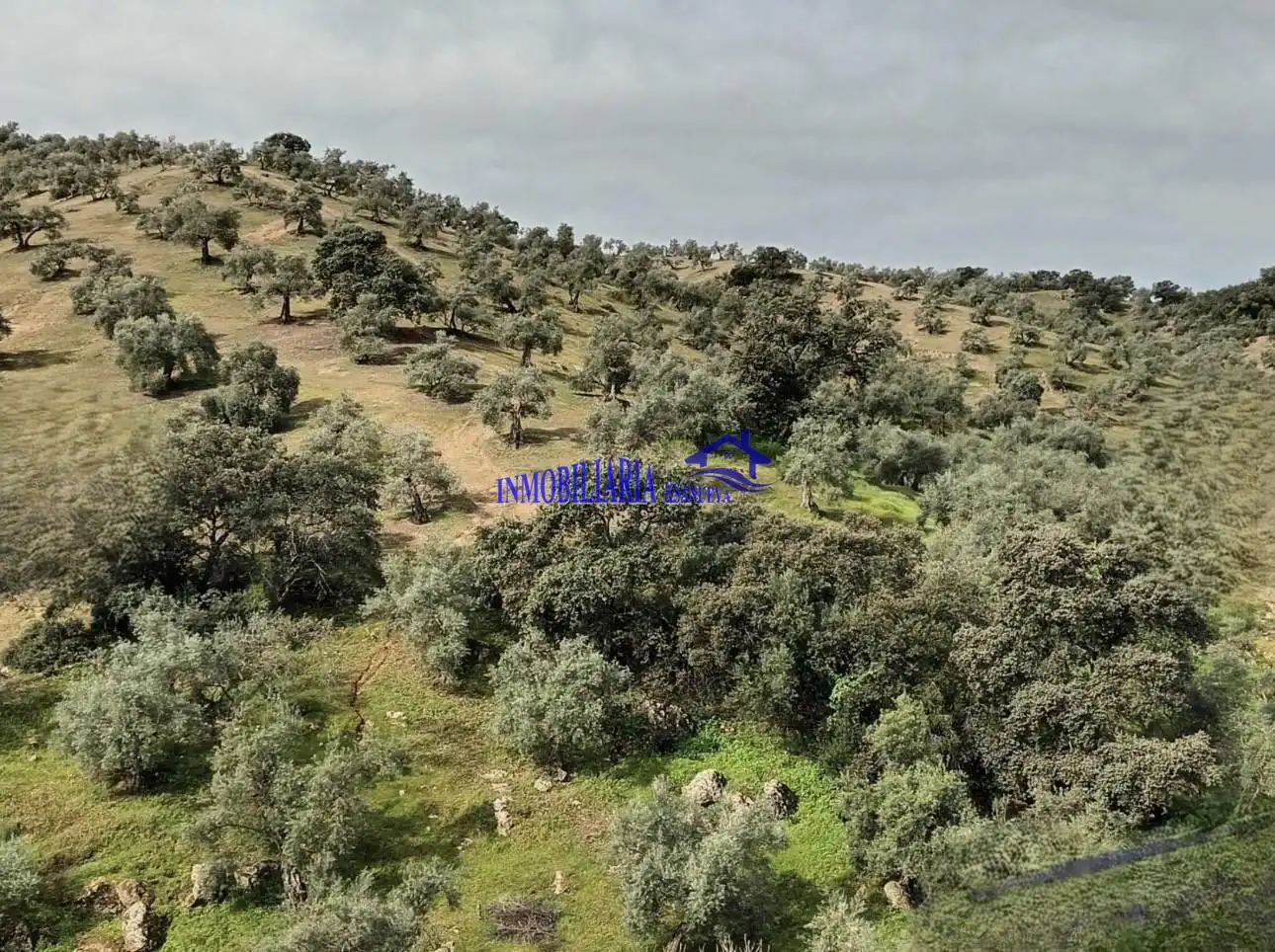 Country homes for sale in Adamuz, Córdoba