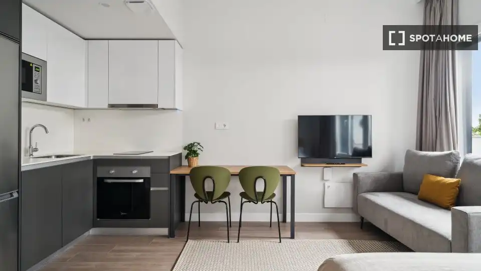 Sala de estar de Piso de alquiler en Madrid con Aire acondicionado, Calefacción y Amueblado