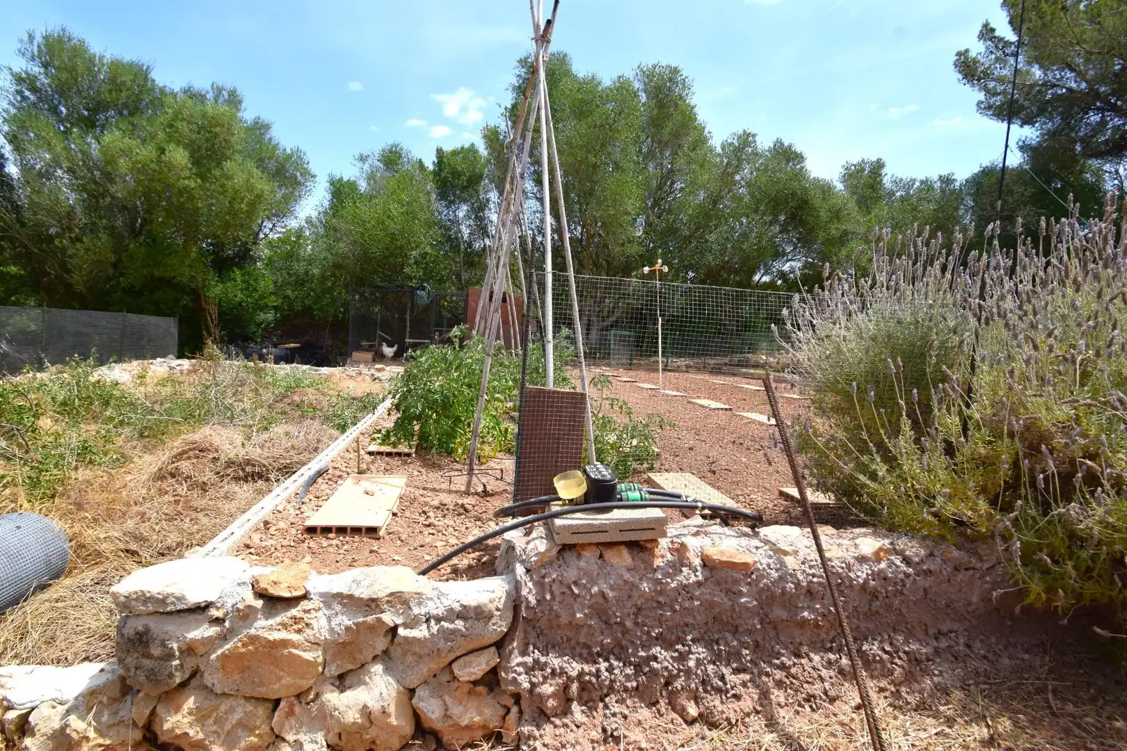 Finca rústica en venda a Petra