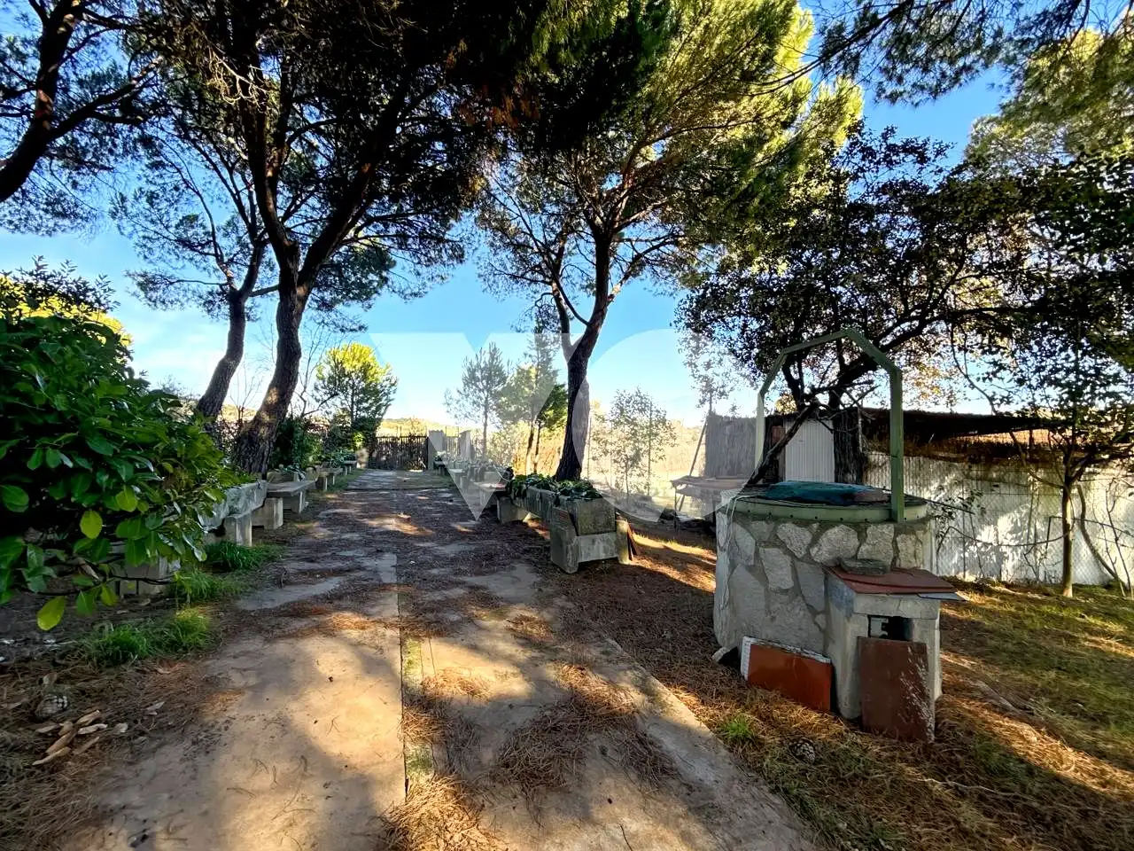 Jardín de Casa o chalet en venta en Ribatejada con Jardín privado, Terraza y Piscina