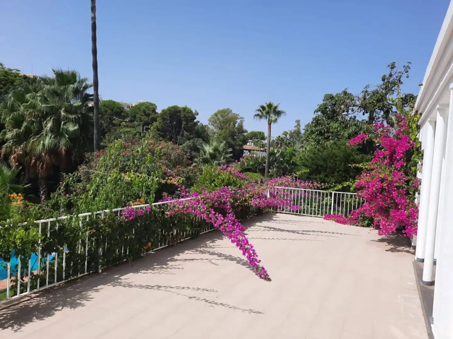 Terrassa de Casa o xalet de lloguer en Marbella