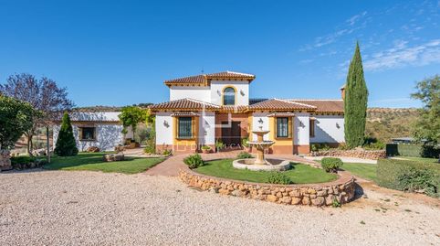 Espectacular cortijo de 4 dormitorios de estilo andaluz en venta a 20 minutos de Villanueva del Rosario, imagen 3