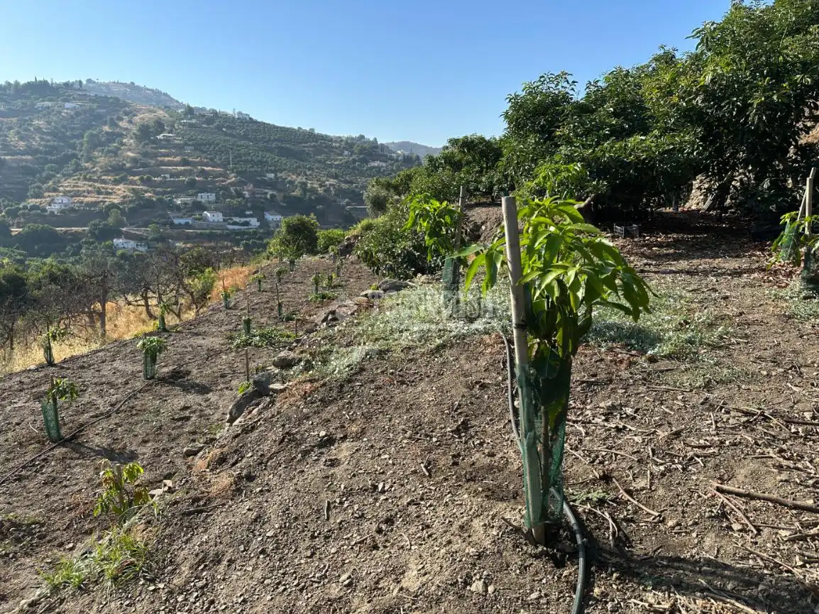 Terreni e lotti in vendita a Torrox Pueblo, imagen 15