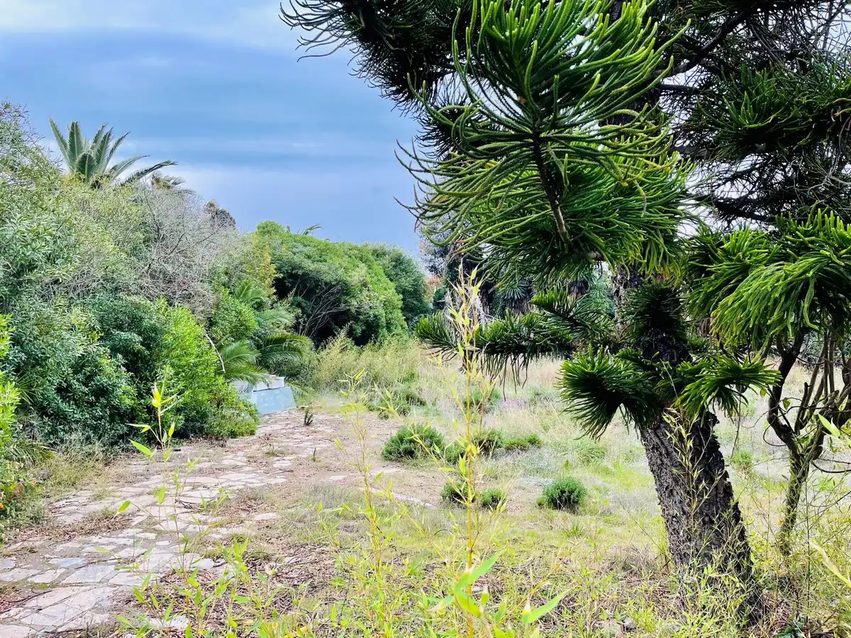 Terreni e lotti in vendita a Estepona Pueblo