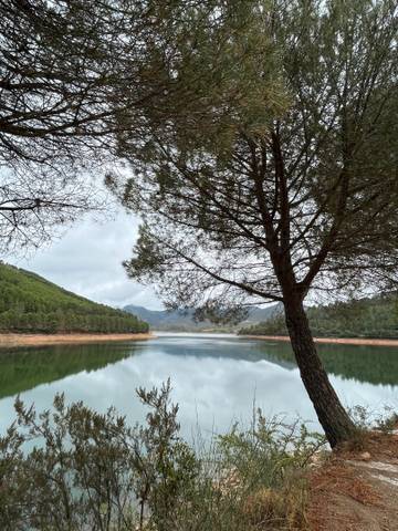 Edificio en Venta en Guadalupe