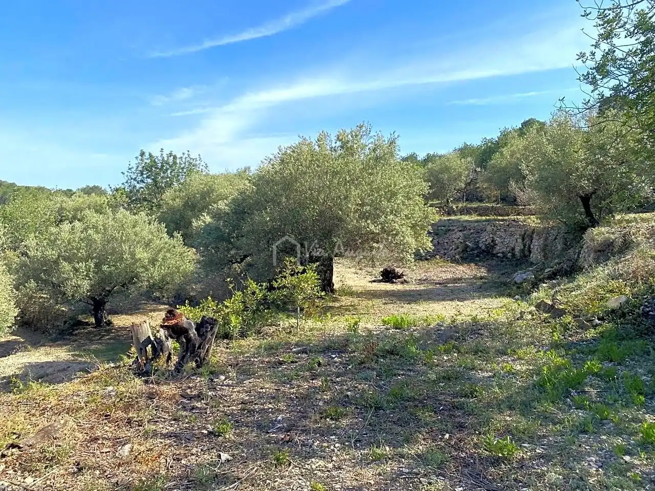 Terreno rustico in vendita a Puig Moltó, imagen 12