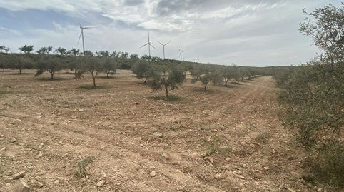 FINCA RÚSTICA EN PADUL, immagine 3