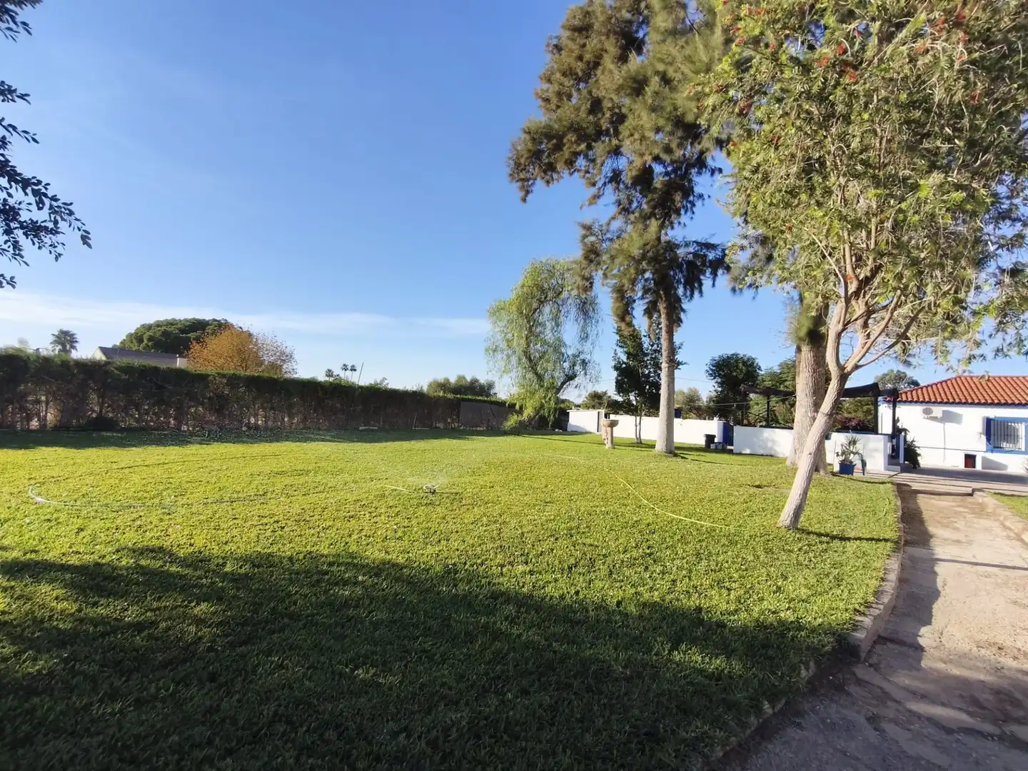 Terreno en venta en Carmona, Sevilla
