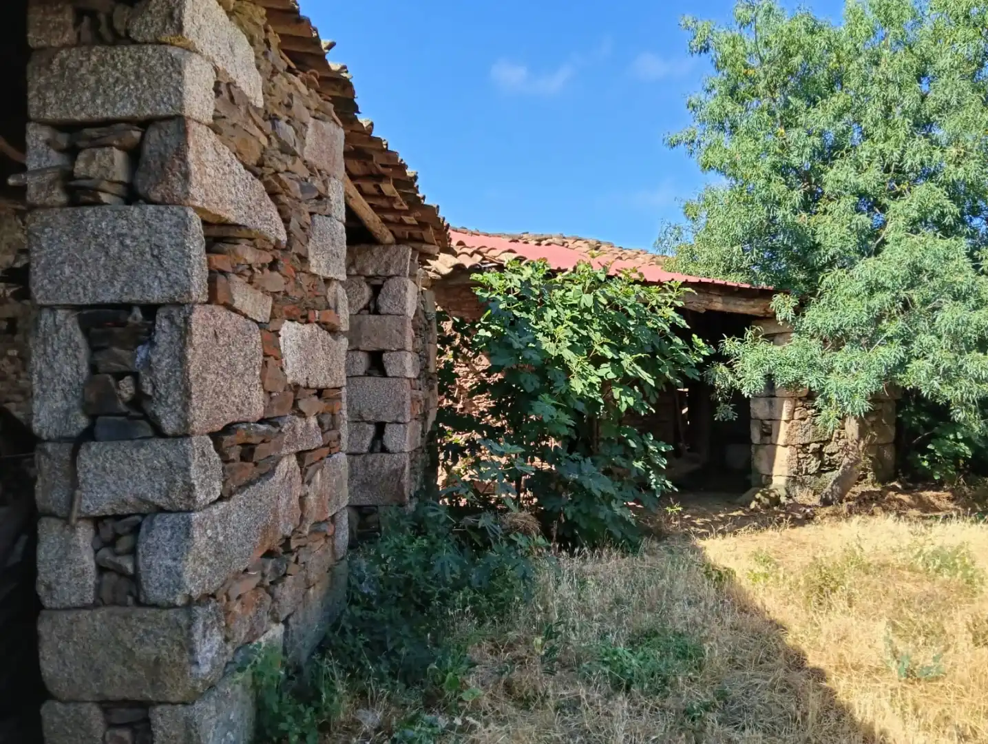 Vista exterior de Terreno en venta en Bermellar