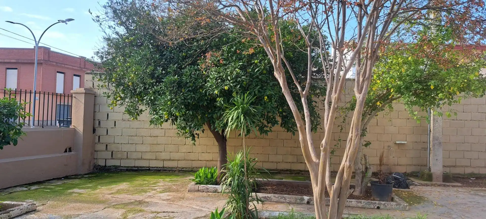 Casa con giardino in vendita a Brenes, imagen 7