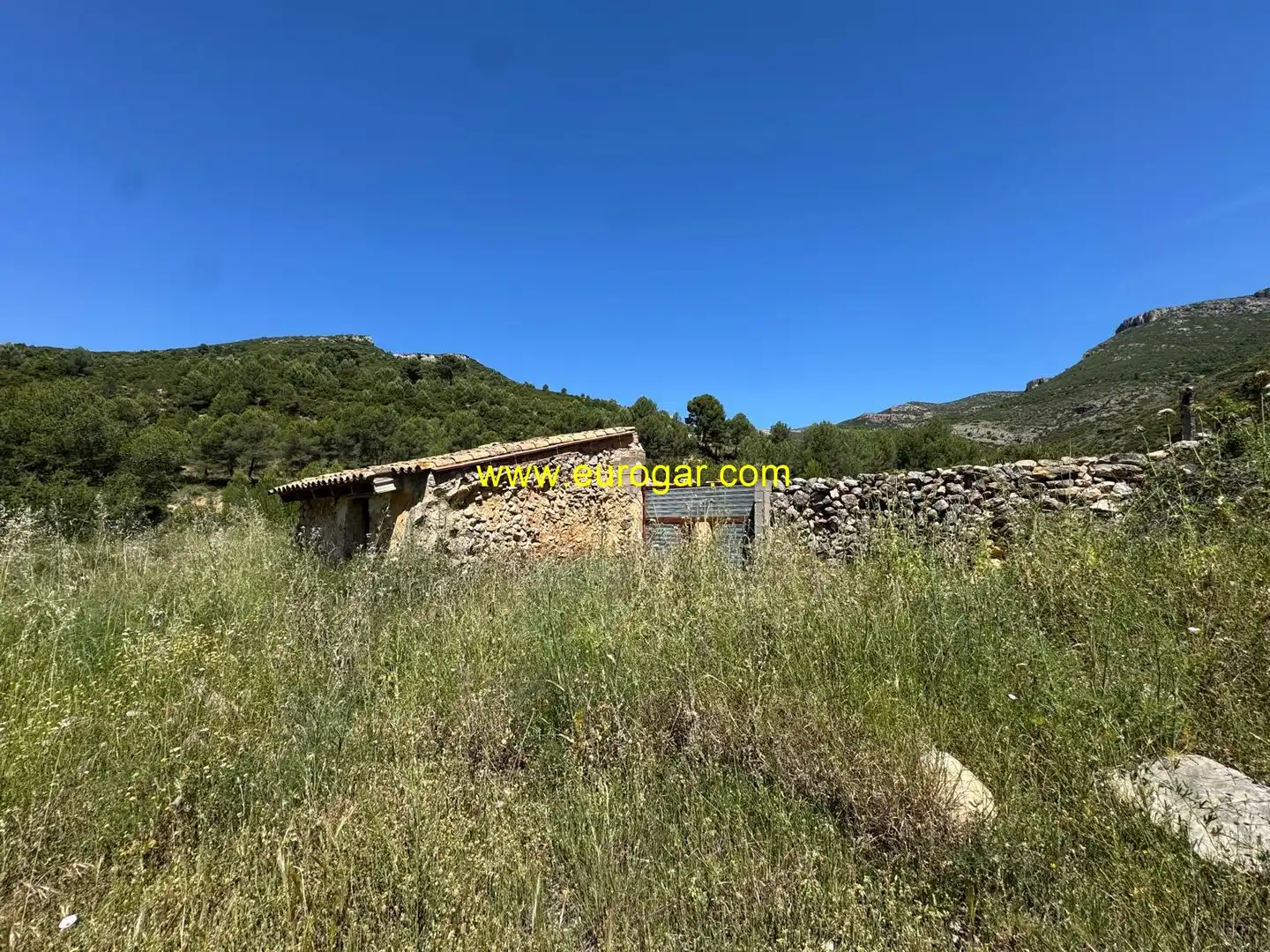 Finca rústica en venta en Chiva