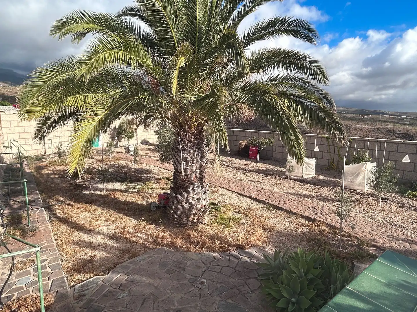 Jardí de Casa o xalet en venda en Granadilla de Abona amb Terrassa, Traster i Rentadora