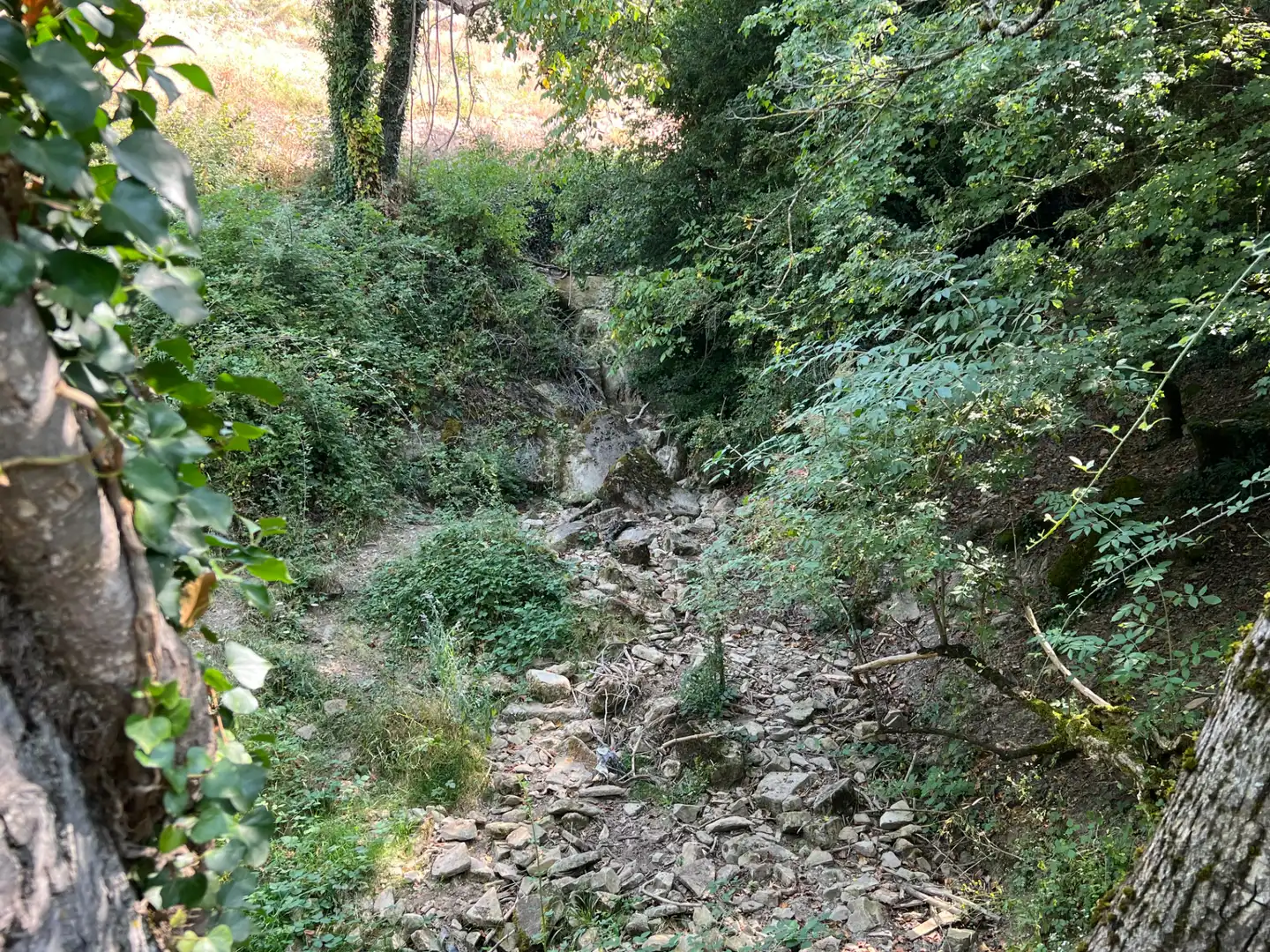 Exterior view of Land for sale in Broto