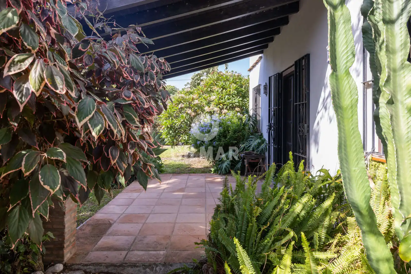 Jardí de Casa o xalet en venda en Estepona amb Jardí privat