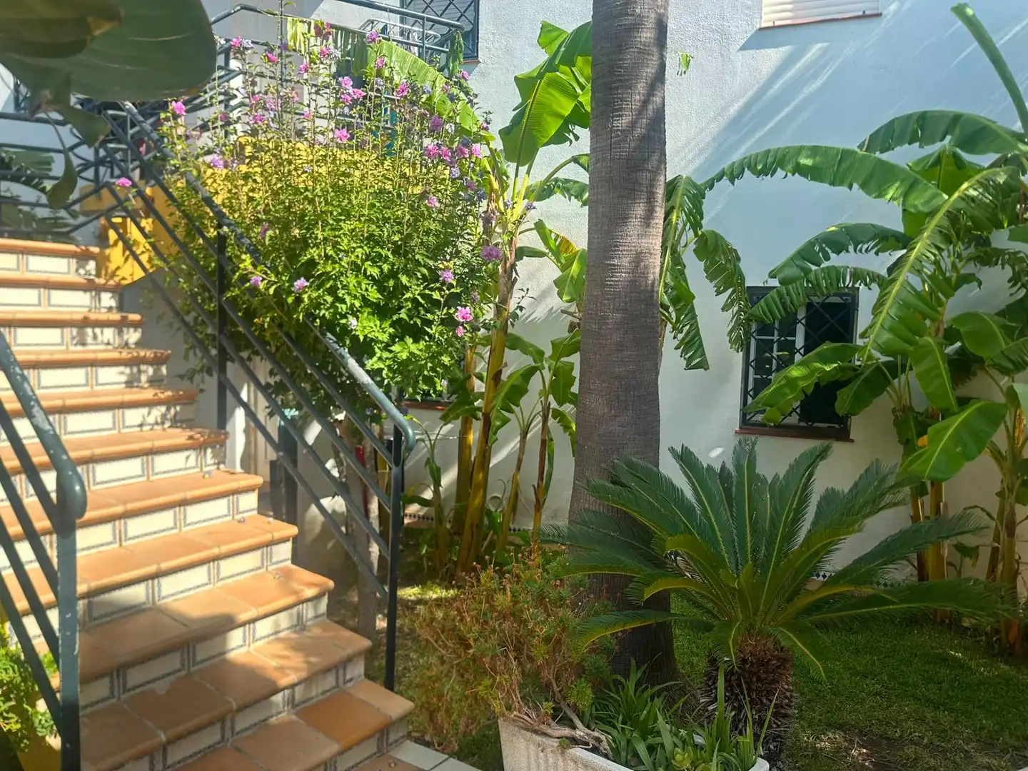 Jardín de Casa adosada en venta en Chiclana de la Frontera