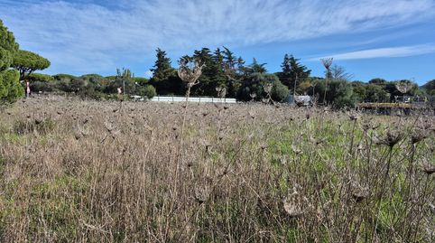 Foto 3 de Terreno en venta en Zahora, Barbate