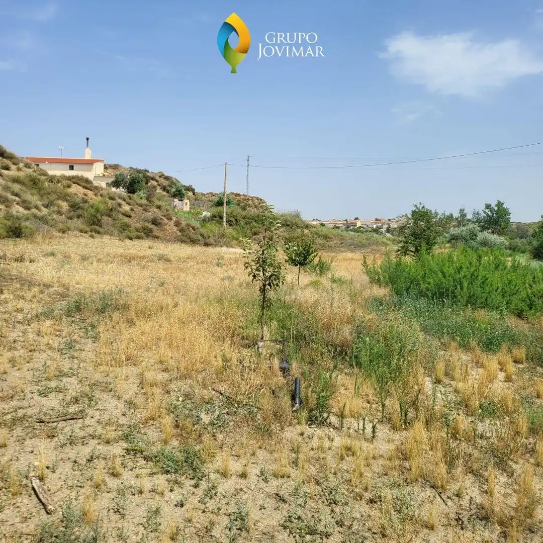 Terreno rustico in vendita a Caniles, imagen 13