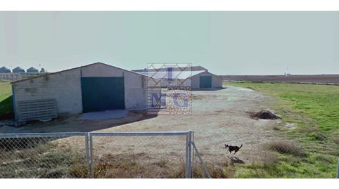 Foto 3 de Finca rústica en venta en Pedanías - Extrarradio, Albacete Capital