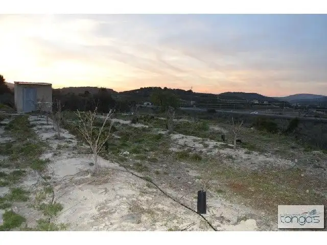 Terreny rústic en venda a Llanera de Ranes, imagen 10