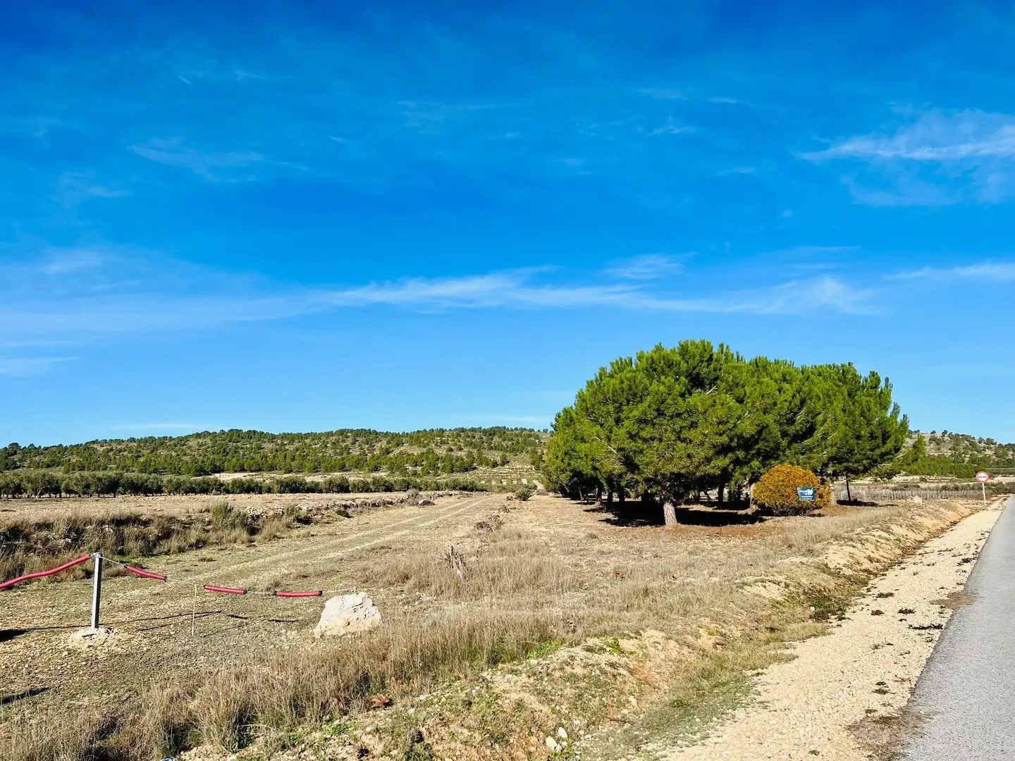 Terreny residencial en venda a Cañada, imagen 24