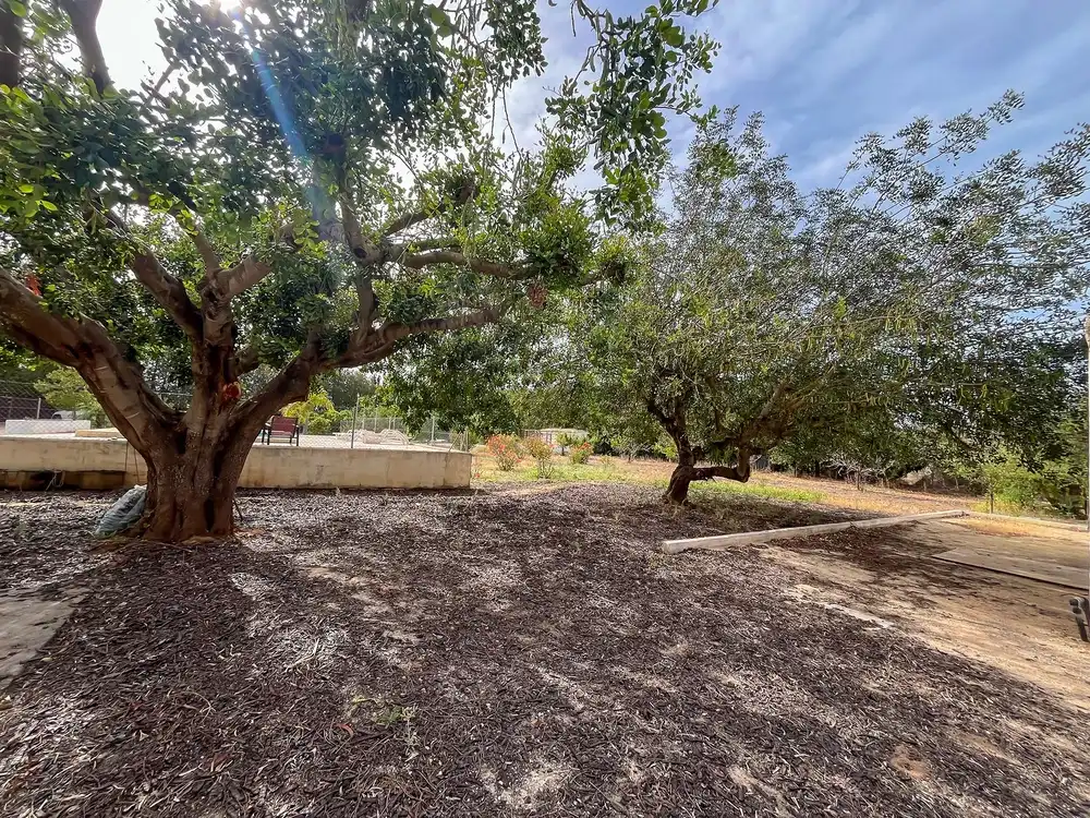 Country house for sale in La Xara - La Sella, imagen 21