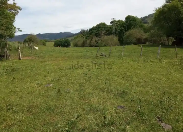 Terreny rústic en venda a Rasines
