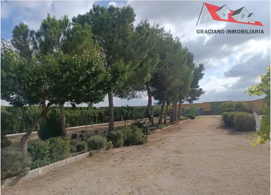 Houses for sale in Albacete  with Private garden and Swimming Pool