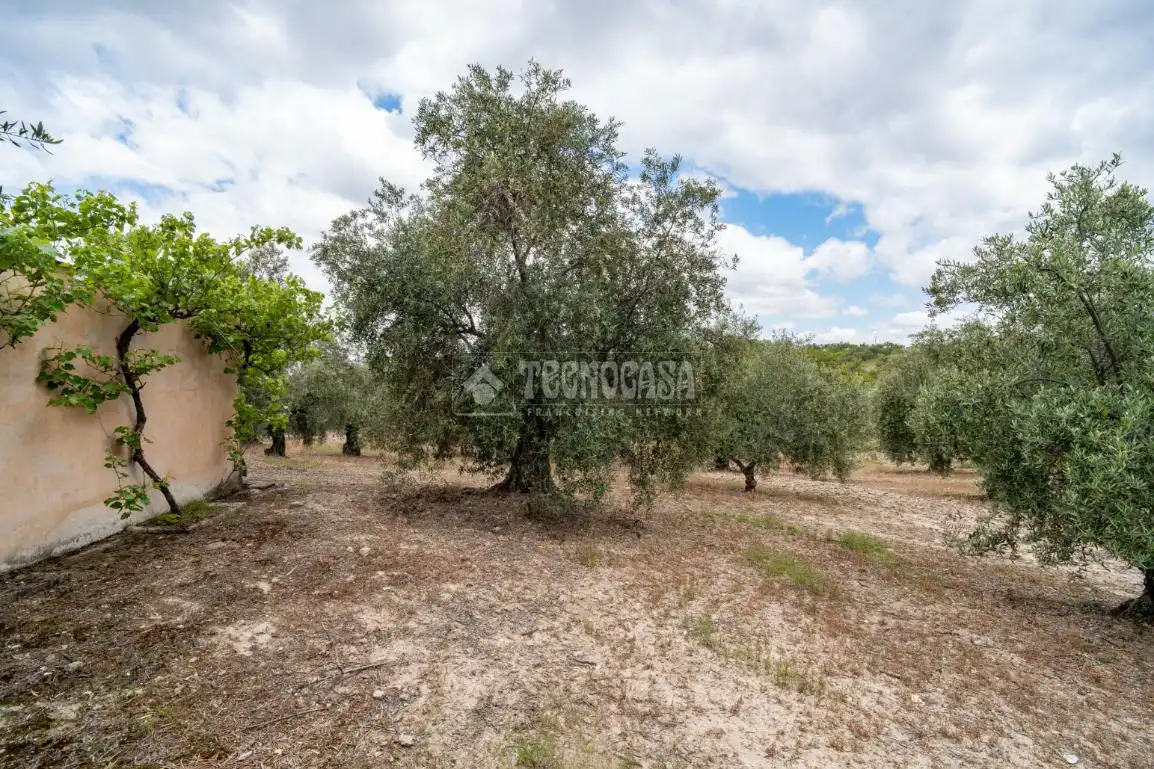Terreni e lotti in vendita a Albaicín, imagen 21