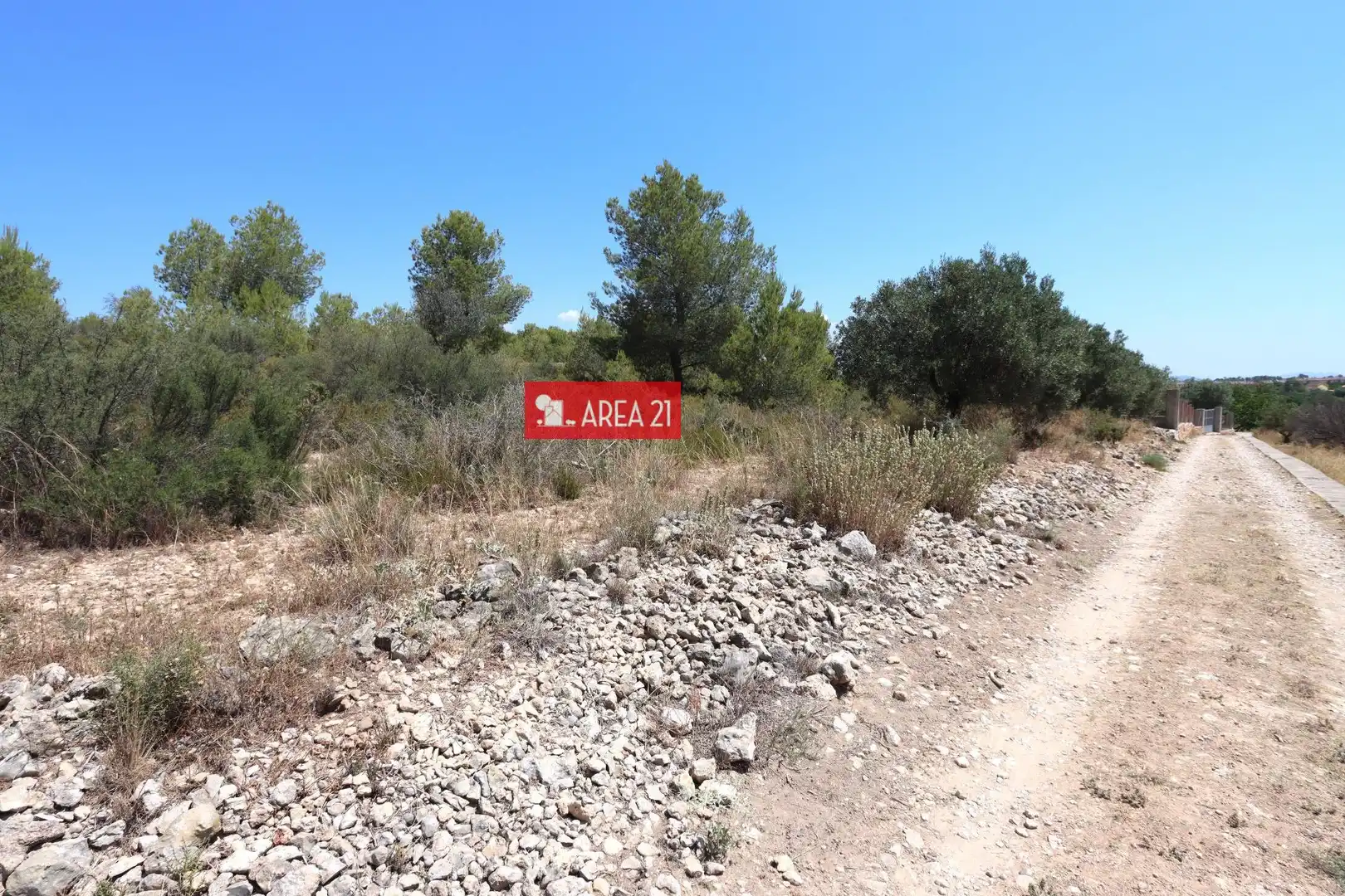 Terreno rústico en venta en Pla dels Aljubs
