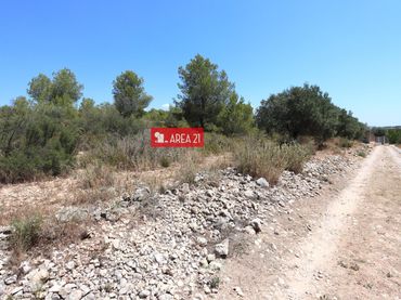 Terreny rústic en venda a Pla dels Aljubs