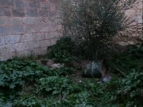 Terrain rustique à vendre à Sa Carretera 28, imagen 7
