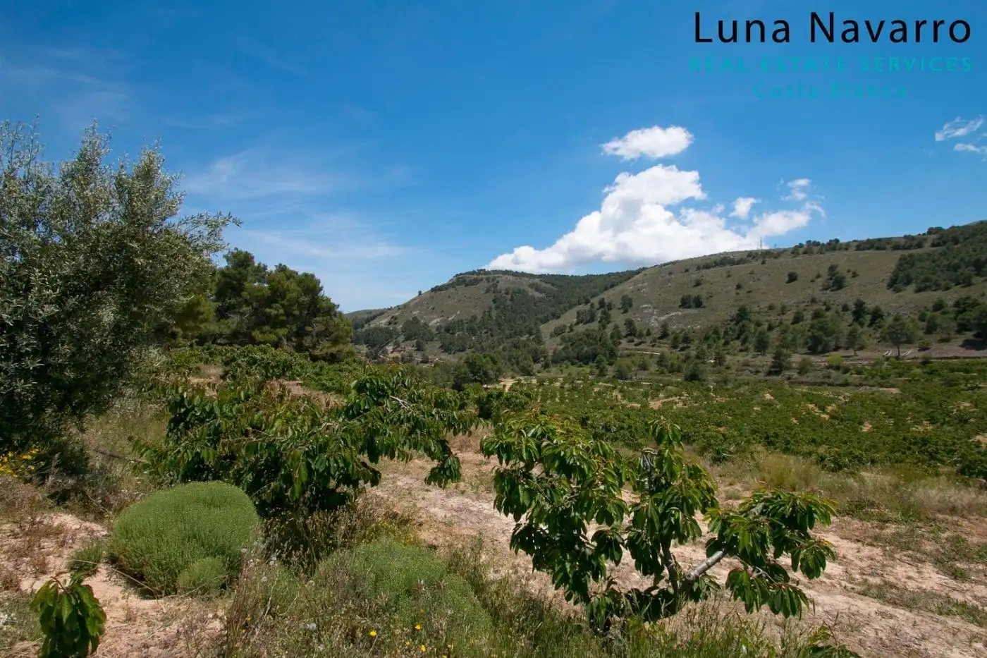 Finca rústica en venta en confrides, Confrides