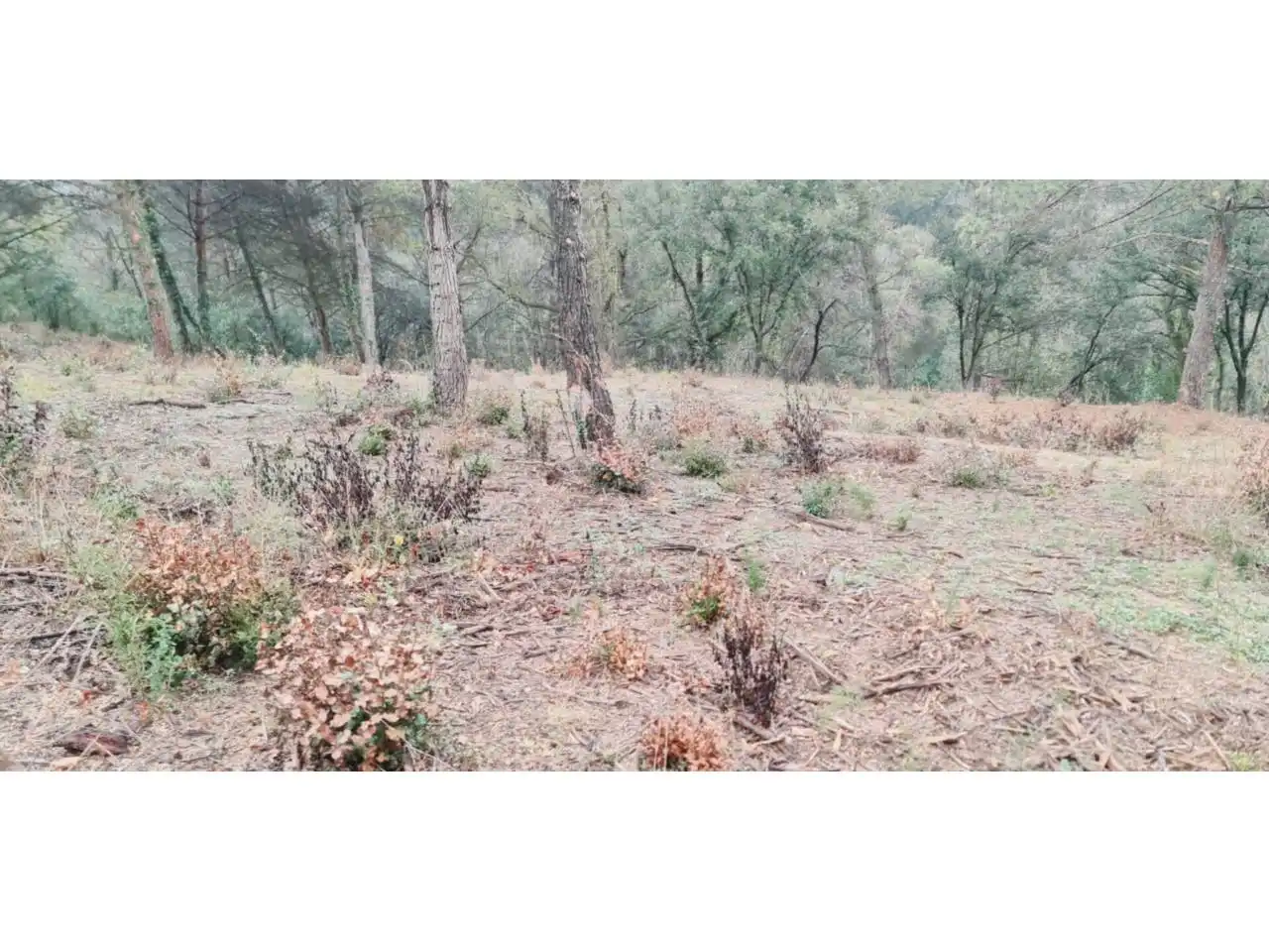 Rural land for sale in Lliçà d'Amunt, imagen 137