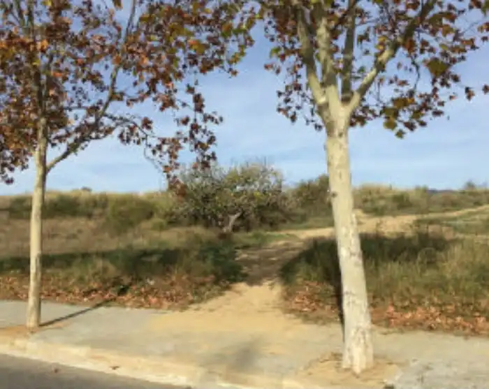 Rural land for sale in Carrer de Sant Mateu