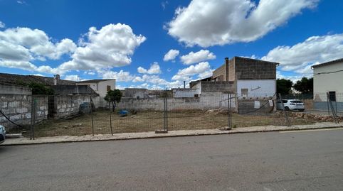 Solar Urbano en Pina con Proyecto y Licencia, immagine 3